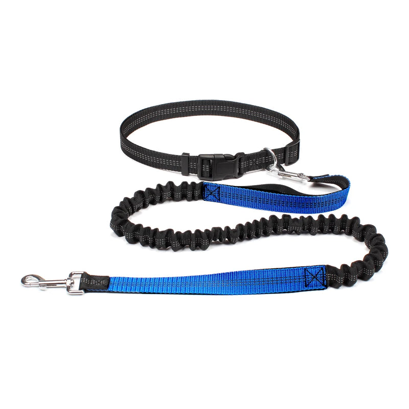 Hand Free Dog Leash for Pet