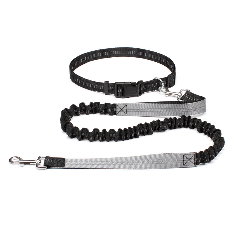 Hand Free Dog Leash for Pet