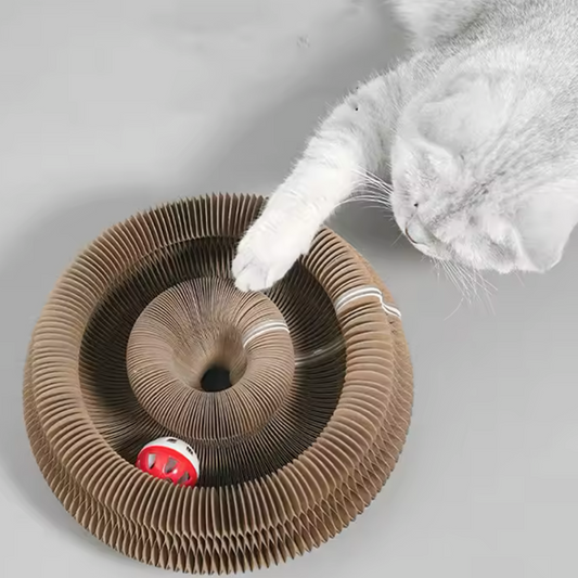 The Magic Scratch Toy Helps Combat Stress in Cats