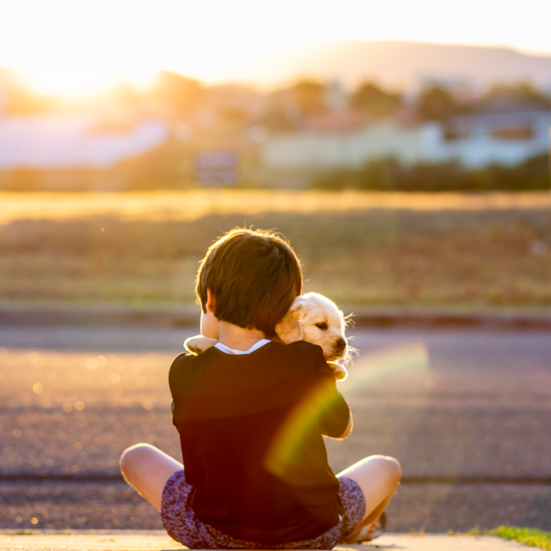 Therapy Dogs Help Children Overcome Fears