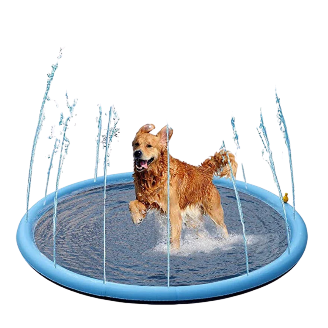 Pawfect Pool