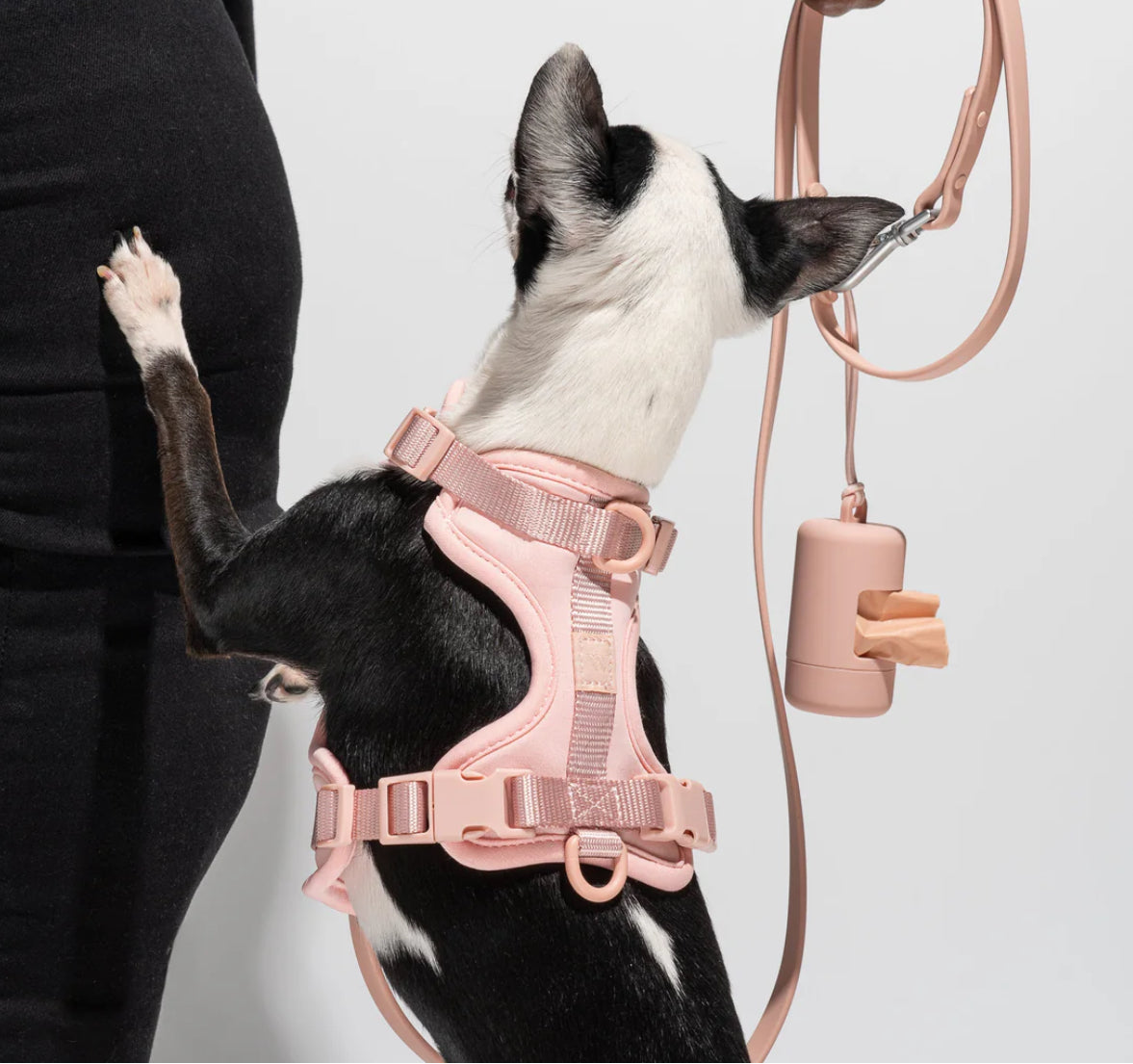 Comfort Harness Kit