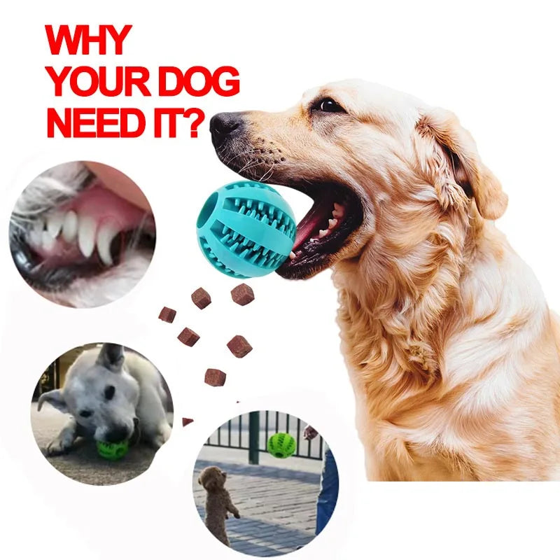 Interactive Rubber Balls for Dogs